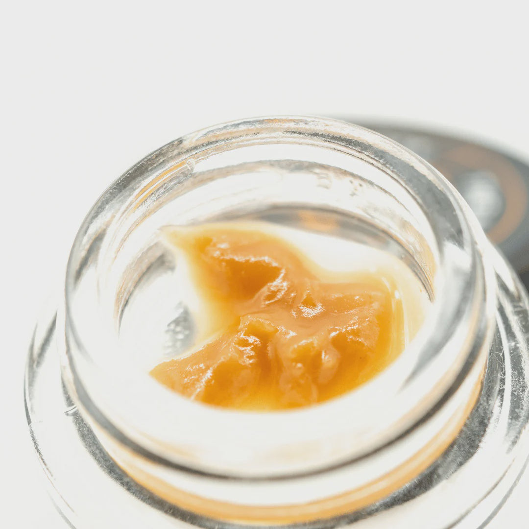 LIVE ROSIN ALIEN SPACECRAFT 1G