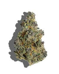 LEMON BAR THCA HEMP FLOWER