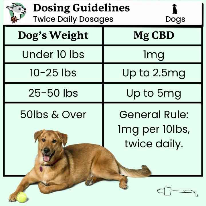 HEMP & TAILS BROAD SPECTRUM CBD DOG TREATS