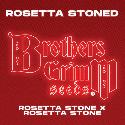 ROSETTA STONED FEMALE CLONES