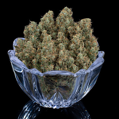 ROSETTA STONED FEMALE CLONES