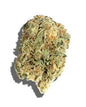PAPAYA PUNCH THCA HEMP FLOWER