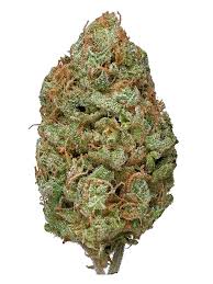 ***EXOTIC*** BUBBLE GUM THCa FLOWER- INDICA HYBRID- INDOOR LIVING SOIL- (28.4% THCa)