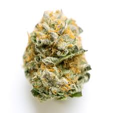 ***EXOTIC*** KEY LIME JACK- THCa FLOWER- SATIVA- INDOOR LIVING SOIL- (27.49% THCa)