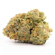 ***EXOTIC*** KEY LIME JACK - THCa FLOWER- SATIVA HYBRID- INDOOR LIVING SOIL- (21.4% THCa)