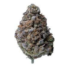 BLUEBERRY MUFFIN THCA HEMP FLOWER - HYBRID INDICA