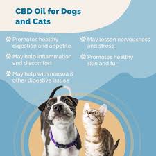 HEMP & TAILS BROAD SPECTRUM CBD DOG TREATS