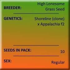 SKYLINE FEMALE CLONES (TEXAS SHORELINE X APPALACHIA)