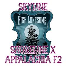 SKYLINE FEMALE CLONES (TEXAS SHORELINE X APPALACHIA)
