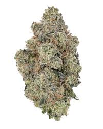 ***AAA*** GELATO #41  THCA Hemp Flower- INDICA HYBRID- INDOOR LIVING SOIL (28.87 % THCa)