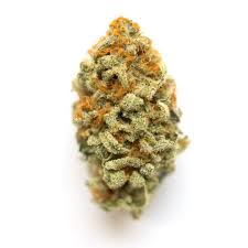 $7 GRAMS***EXOTIC*** GOD'S BREATH- THCa FLOWER- HYBRID INDICA INDOOR LIVING SOIL- (24.8% THCa)