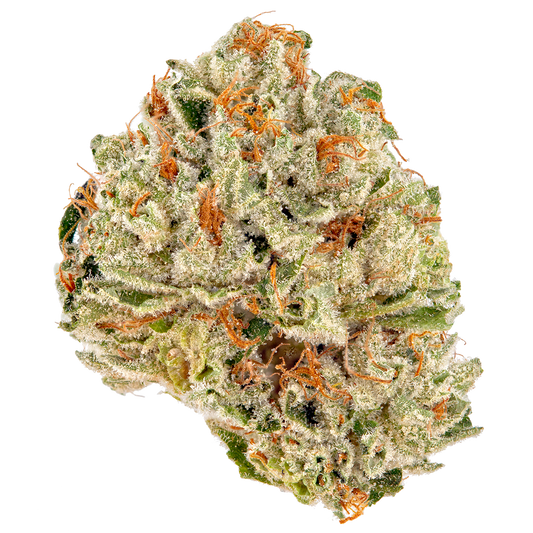 ILLUMINATI THCA HEMP FLOWER