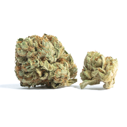 GRAPE GOD THCA HEMP FLOWER