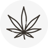 Buy Cannabis Flower Online